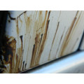 Decontaminare vopsea
