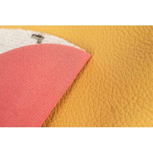 Disc Abraziv pentru Piele Colourlock 4000